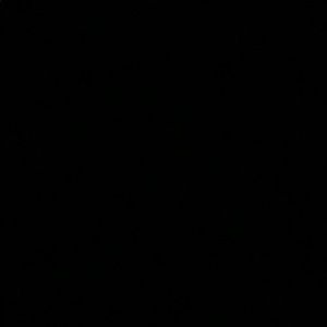 Meet your Posher, Bryant